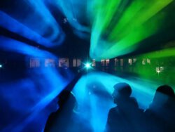 Silhouetten von Menschen vor blau-grünen Lichtstrahlen einer Lasershow bei Nacht, im Hintergrund die beleuchtete Fassade des Humboldtforums in Berlin